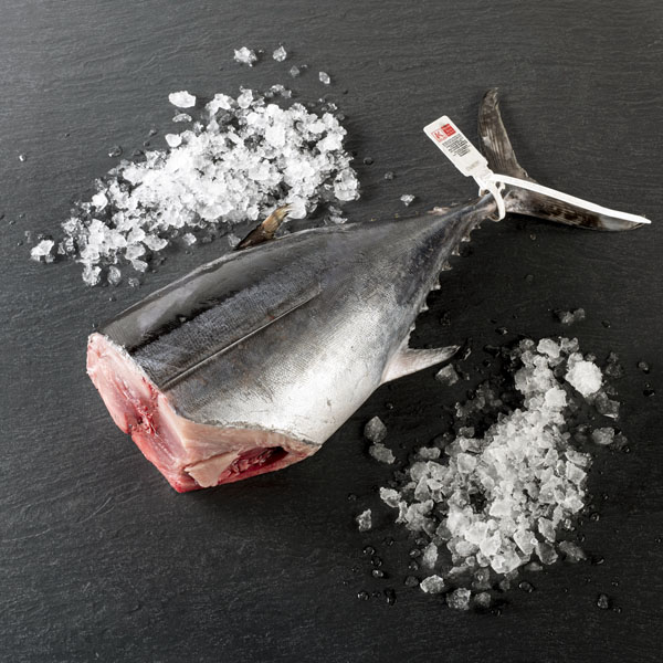 Bonito (2)